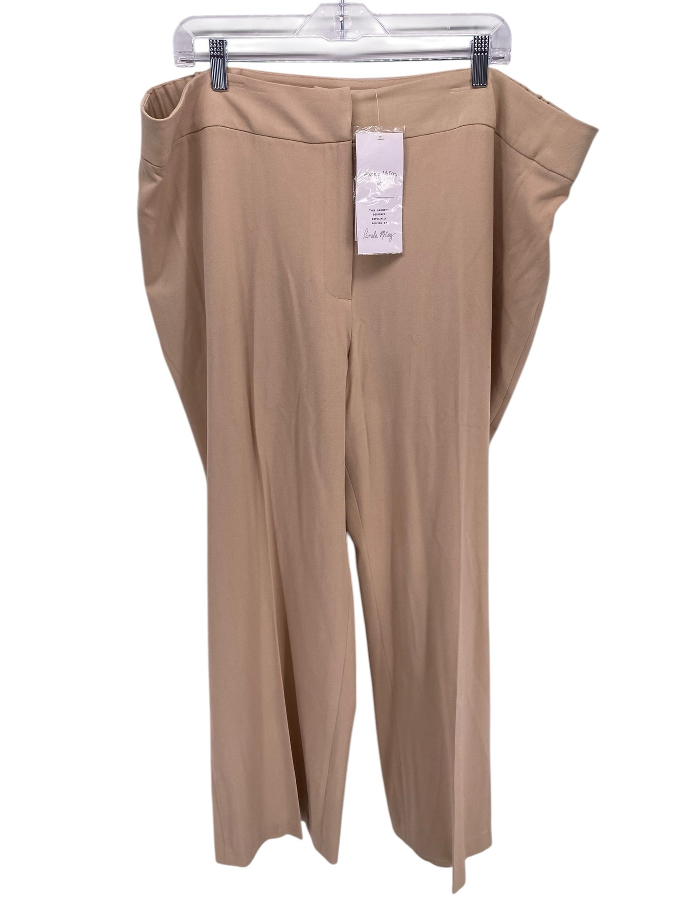 Pamela McCoy Women Size 24 Beige CD Pants